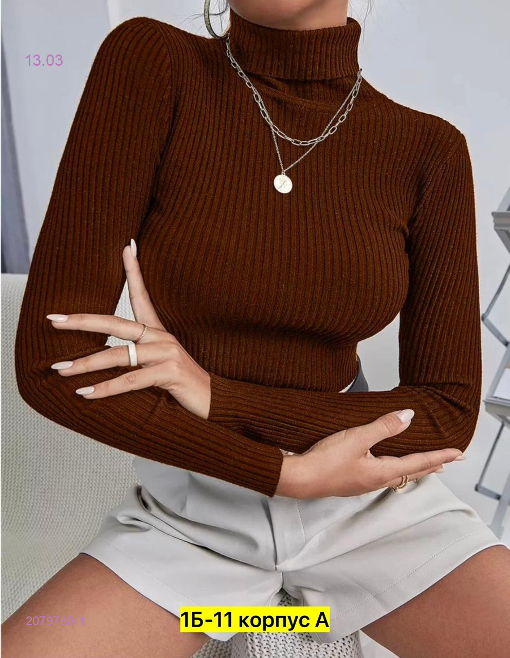 Водолазка 2079760-1