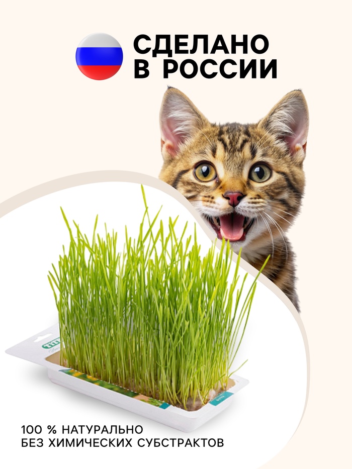 Трава TiTBiT для кошек, пшеница, 50 г