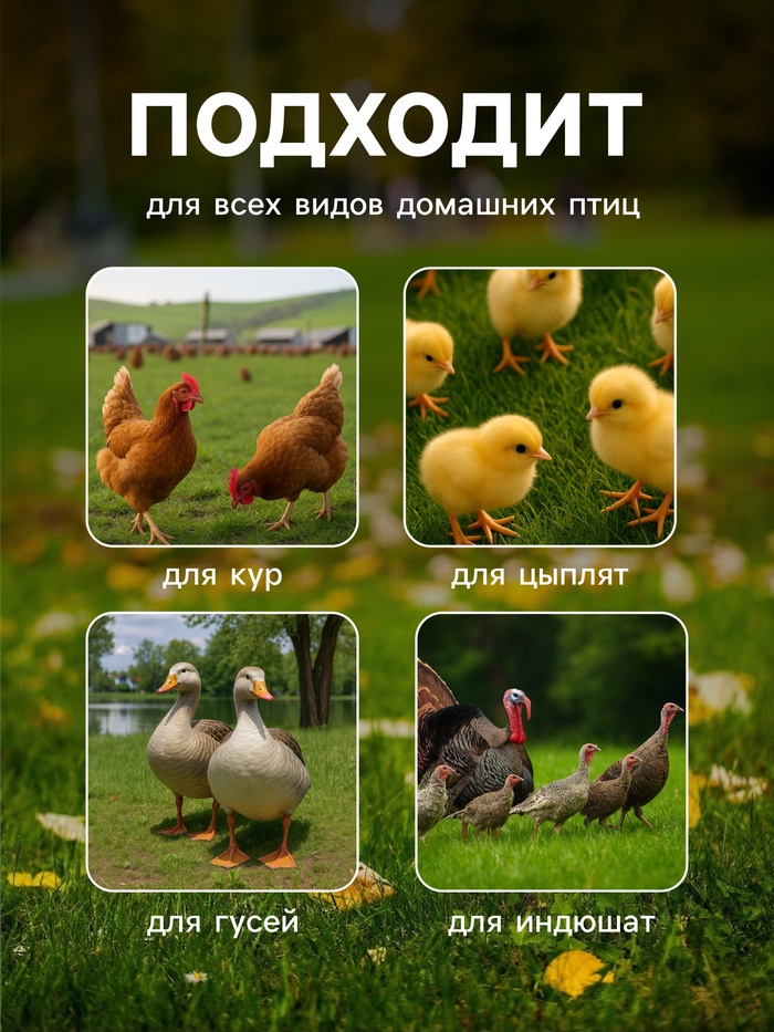 Поилка для домашней птицы, 1 л, пластик, Greengo