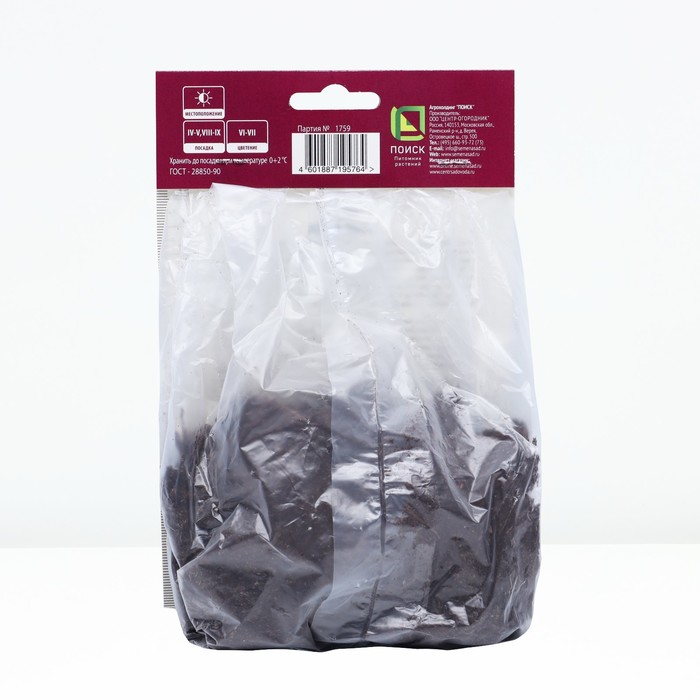 Астильба японская Пич Блоссом р-р I, 1 шт. Весна 2026