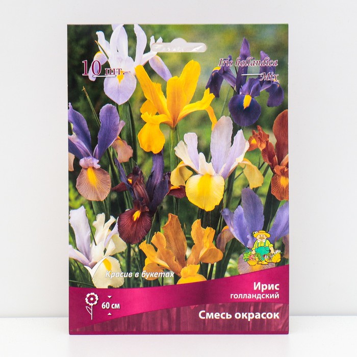 Ирис голландский Cмесь окрасок 10 шт., р-р 6/7, Весна 2026