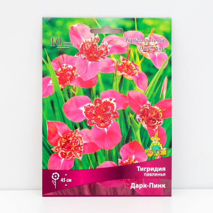 Луковица Тигридия павлинья Дарк-Пинк 10 шт., р-р 5/7, Весна 2026