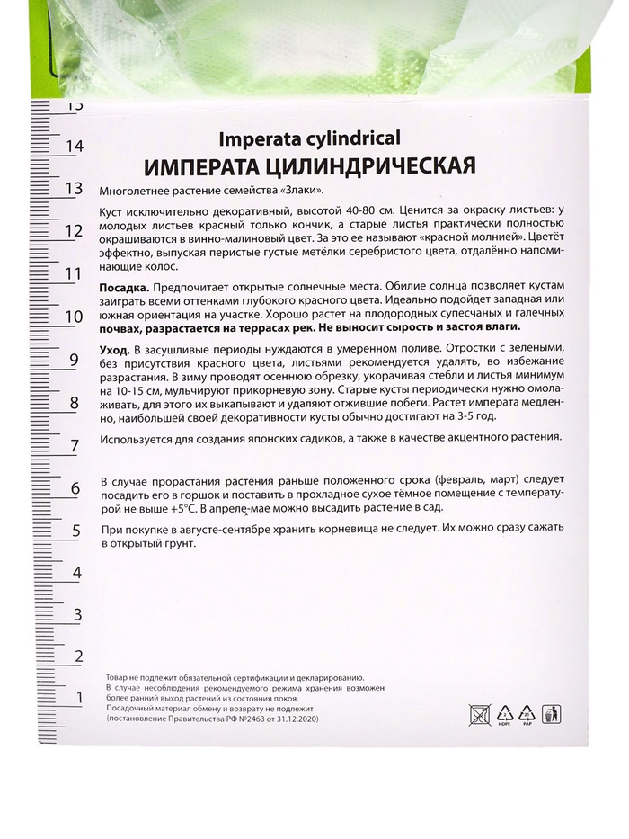 Императа цилиндрическая «Ред Барон», 1 шт., Весна 2026, «ПОИСК»