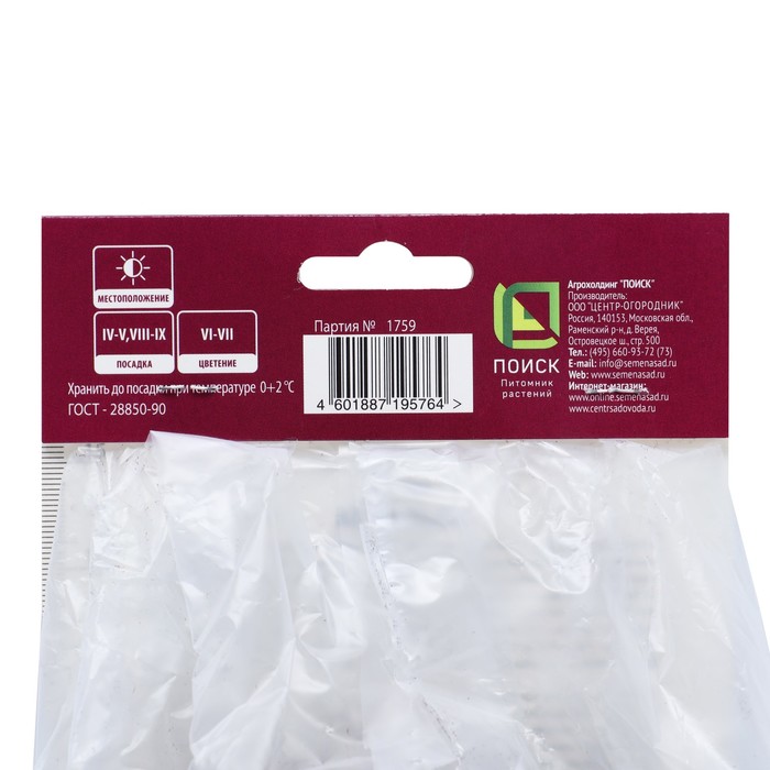 Астильба японская Пич Блоссом р-р I, 1 шт. Весна 2026