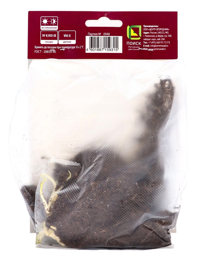 Астра новобельгийская Вайт Ледиз р-р I, 1 шт. Весна 2026