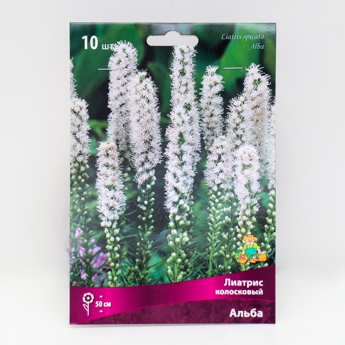 Лиатрис колосковый Альба 10 шт., р-р 8/10, Весна 2026