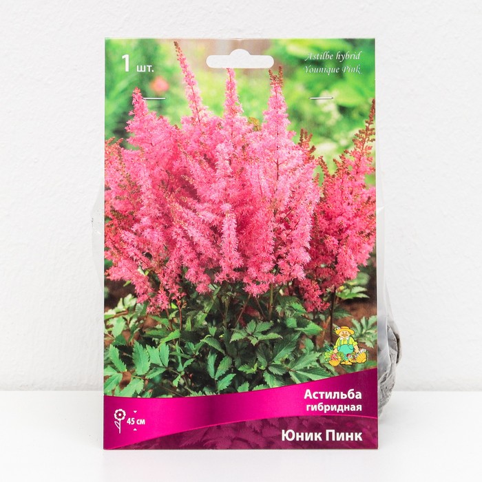 Астильба гибридная патио Юник Пинк 1 шт., р-р I Весна 2026