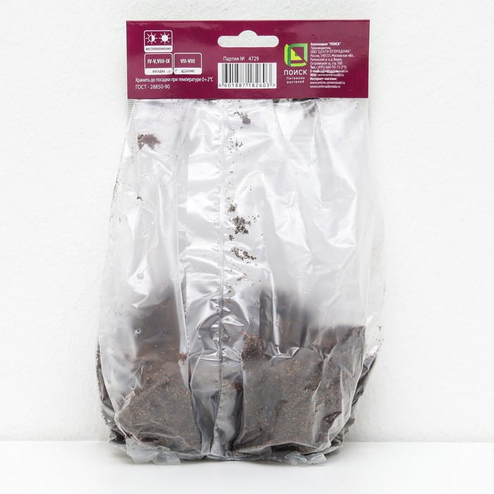 Дербенник иволистный 1 шт., р-р I, Весна 2026