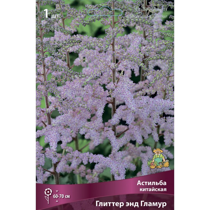 Астильба китайская Глиттер энд Гламур I р-р, 1 шт. Весна 2026