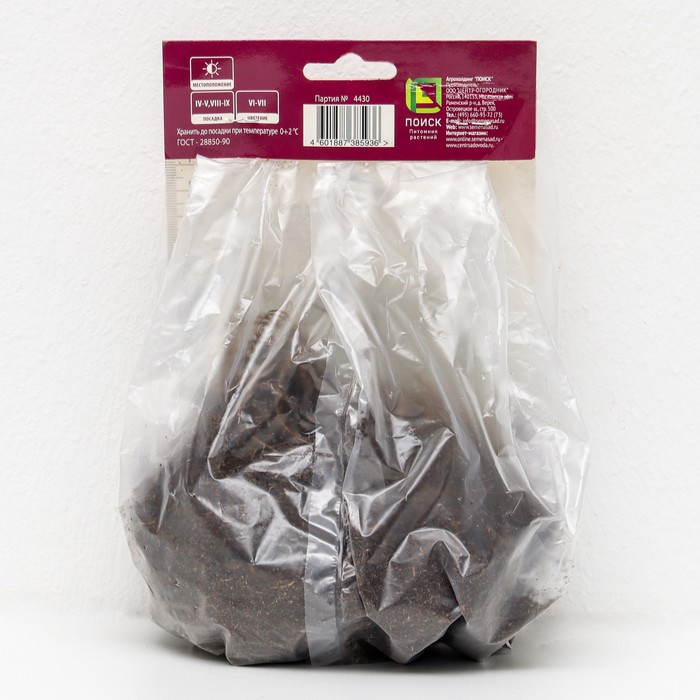 Астильба гибридная патио Юник Руби Ред 1 шт., р-р I Весна 2026