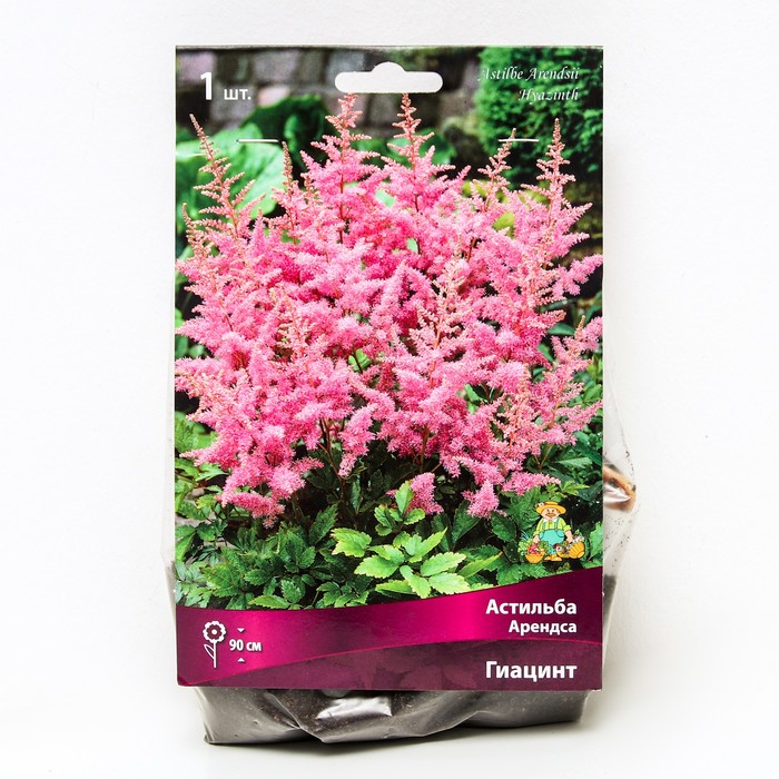 Астильба Арендса Гиацинт I р-р, 1 шт. Весна 2026