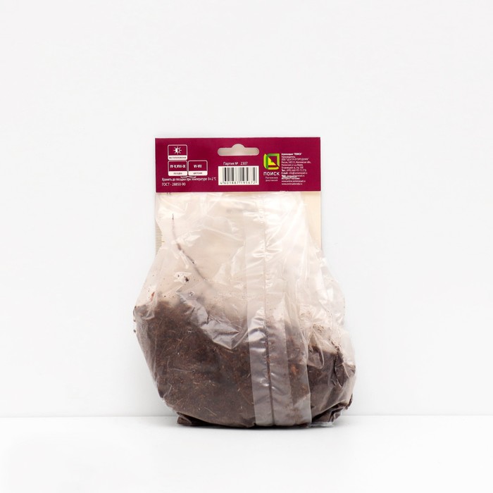 Астильба гибридная патио Юник Вайт 1 шт., р-р I Весна 2026