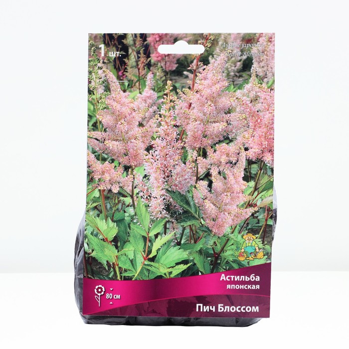Астильба японская Пич Блоссом р-р I, 1 шт. Весна 2026