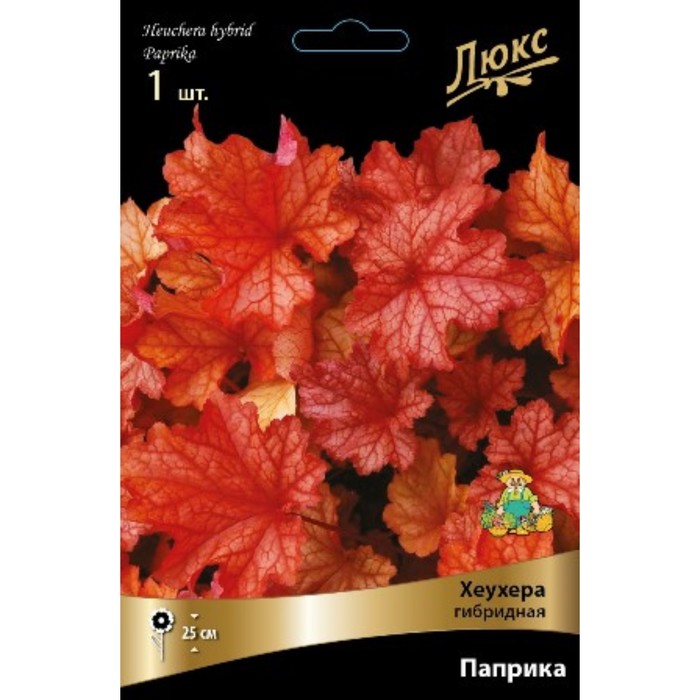 Гейхера (Хеухера) гибридная Паприка р-р I, 1 шт. Весна 2026