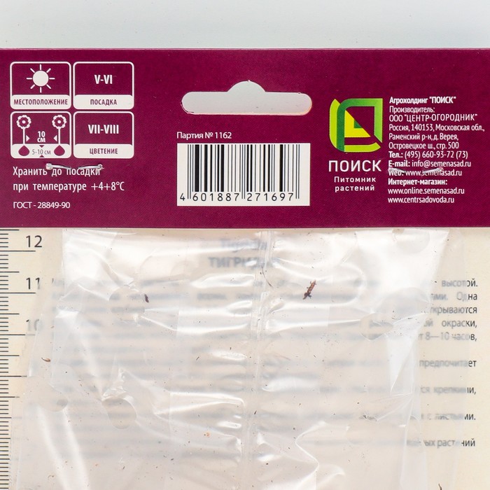 Луковица Тигридия павлинья Дарк-Пинк 10 шт., р-р 5/7, Весна 2026