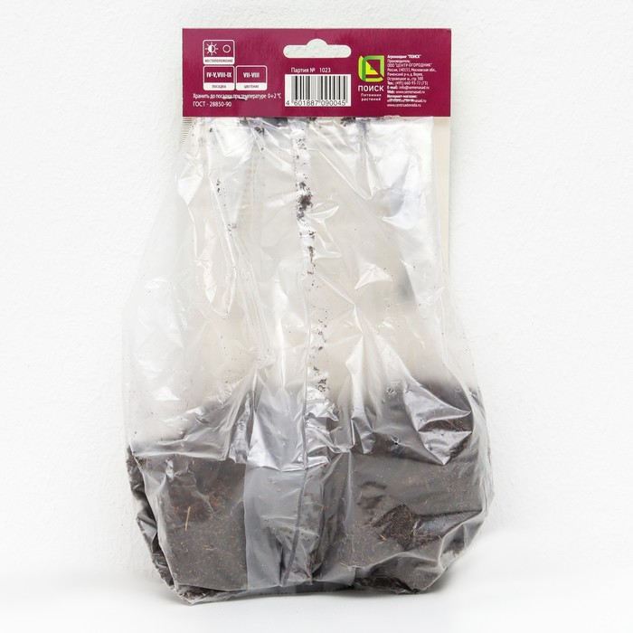 Папоротники Страусник обыкновенный, 1 шт., р-р I, Весна 2026