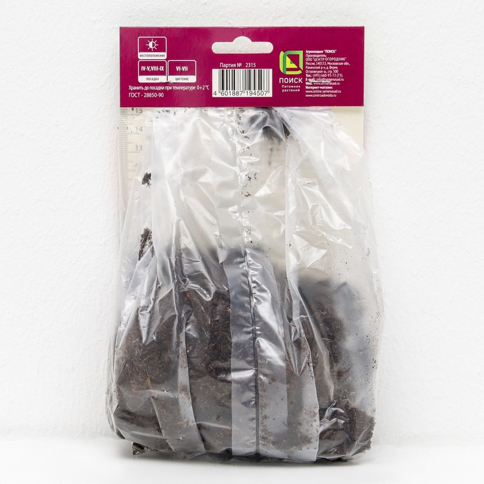 Астильба гибридная патио Юник Пинк 1 шт., р-р I Весна 2026