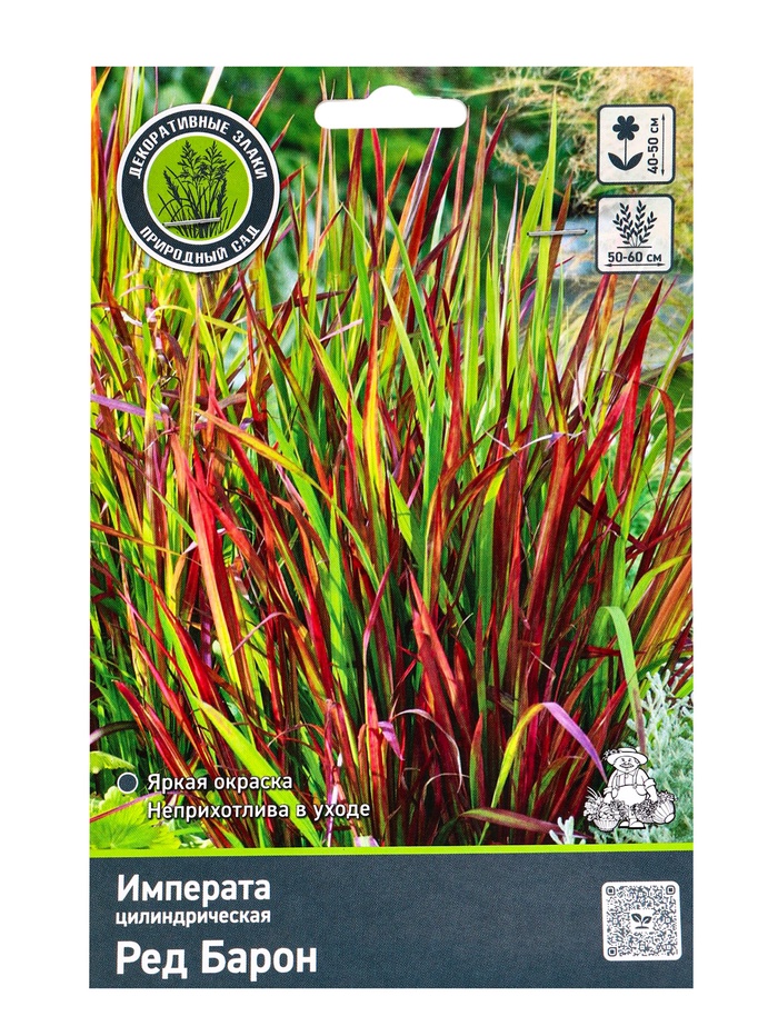 Императа цилиндрическая «Ред Барон», 1 шт., Весна 2026, «ПОИСК»
