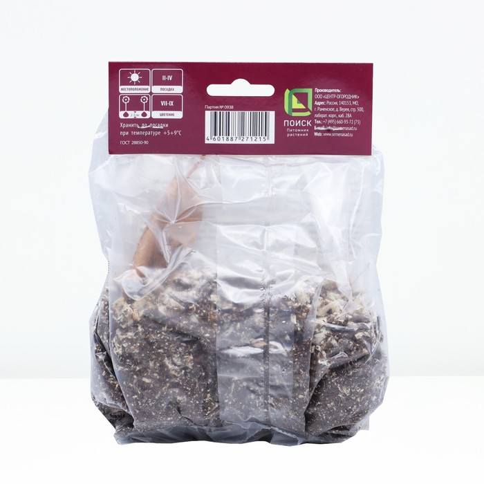 Бегония ампельная Вайт р-р 4/5, 2 шт. Весна 2026