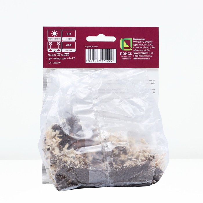 Бегония ампельная Йеллоу р-р 4/5, 2 шт. Весна 2026