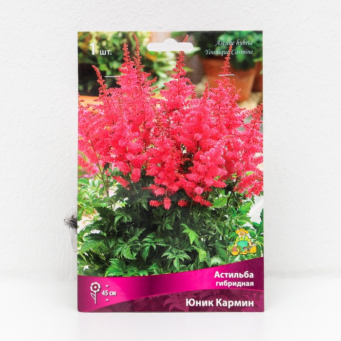 Астильба гибридная патио Юник Кармин 1 шт., р-р I Весна 2026