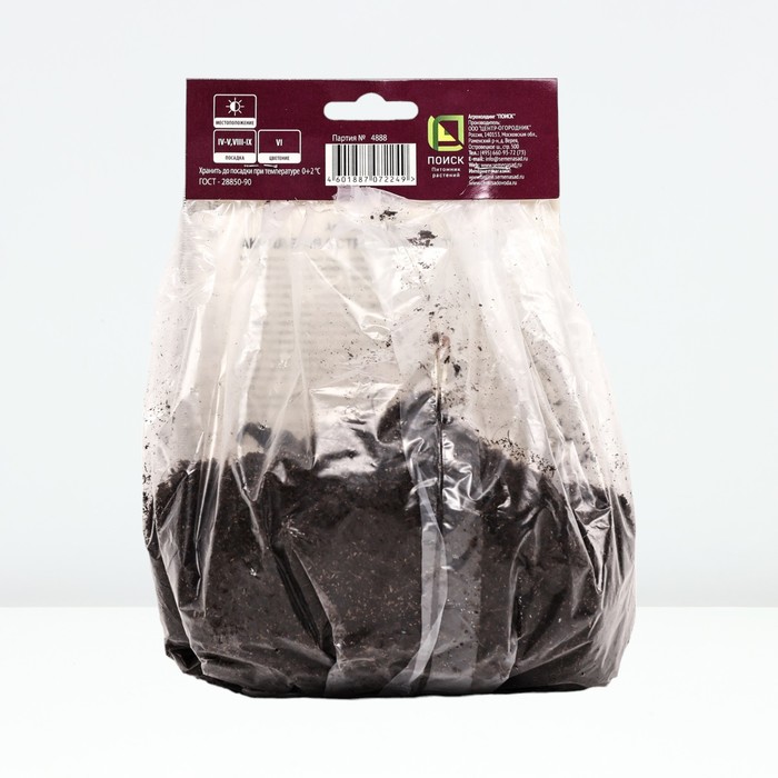 Аквилегия острочашелистиковая р-р I, 1 шт. Весна 2026