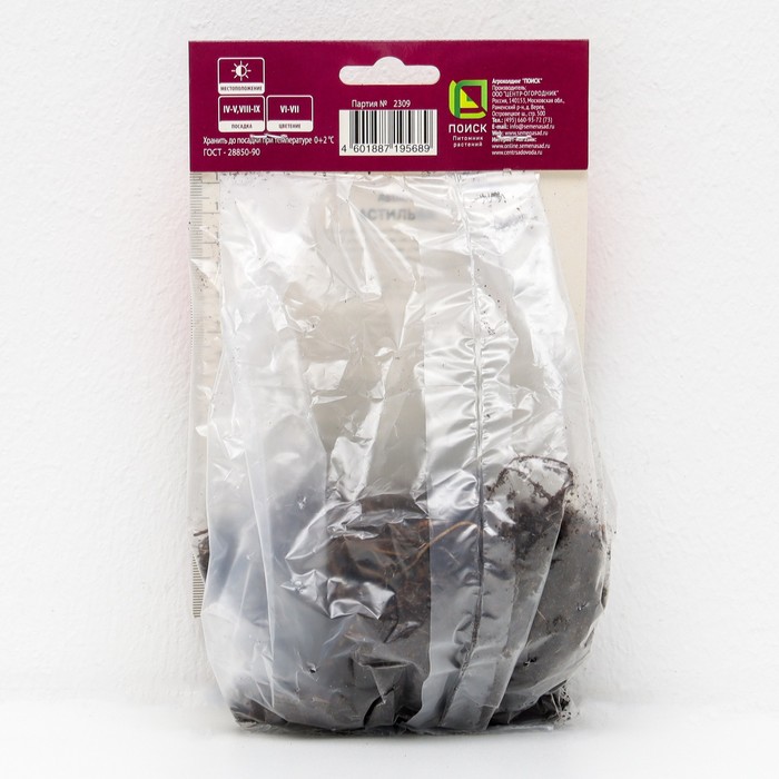 Астильба гибридная патио Юник Кармин 1 шт., р-р I Весна 2026