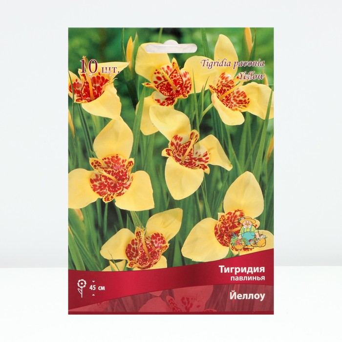 Луковица Тигридия павлинья Йеллоу 10 шт., р-р 5/7, Весна 2026