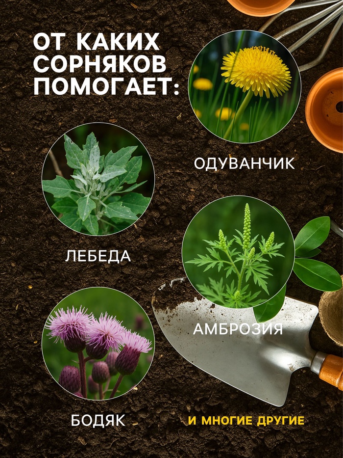 Средство для уничтожения сорняков на картофеле