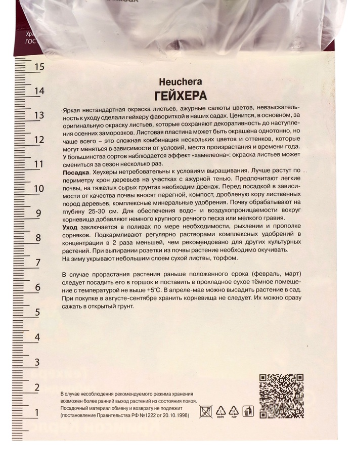 Гейхера (Хеухера) гибридная Кримсон Кёрлс р-р I, 1 шт. Весна 2026