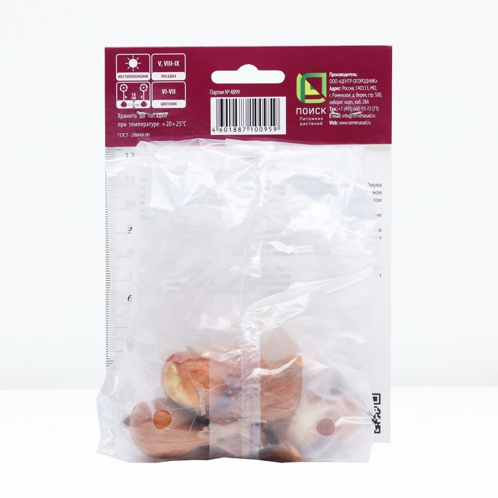 Корневище Ирис голландский Симфония, р-р 7/8, 10 шт., Весна 2026