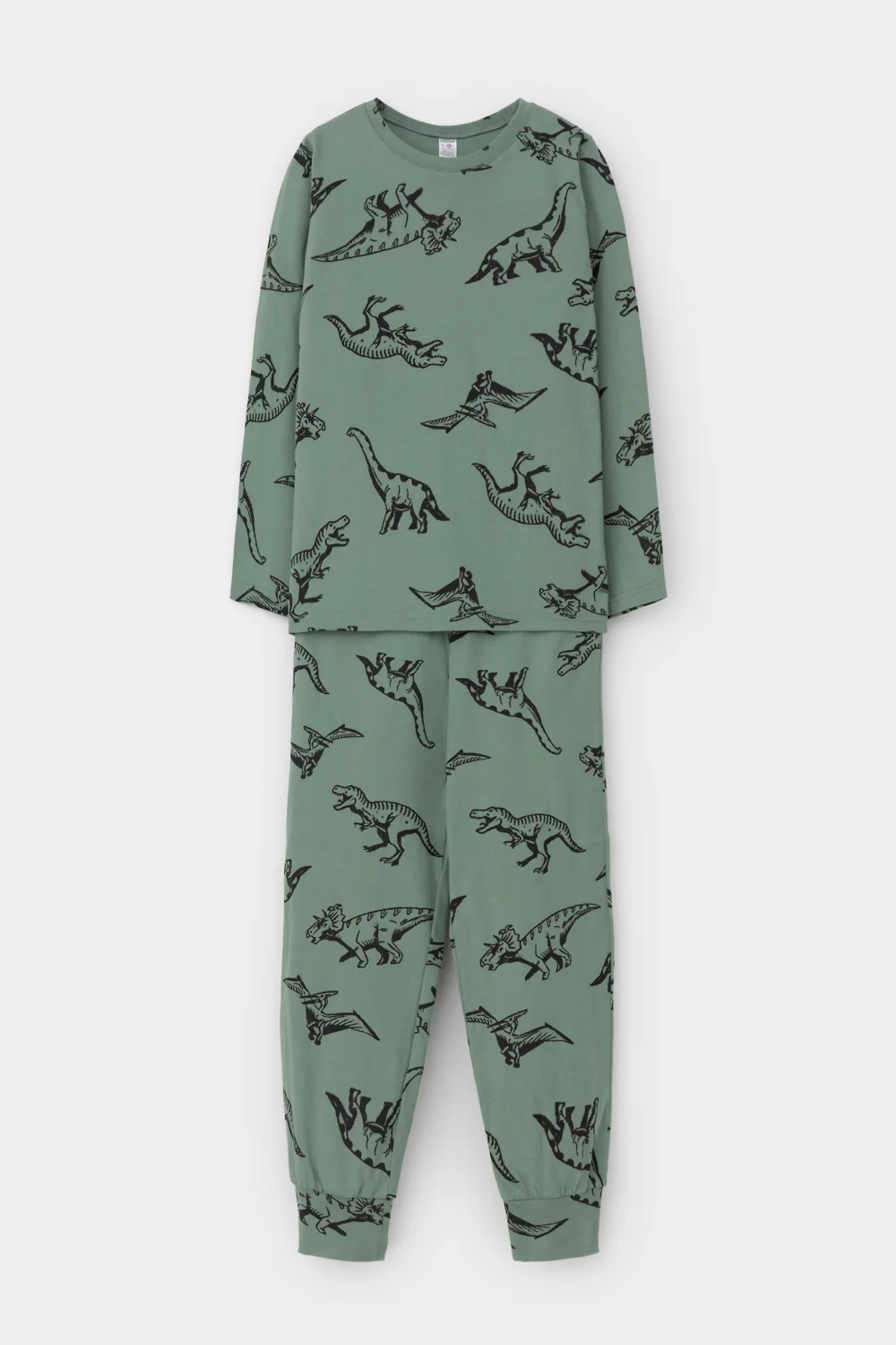 CROCKID Пижама К 1561 весенний зеленый, динолэнд