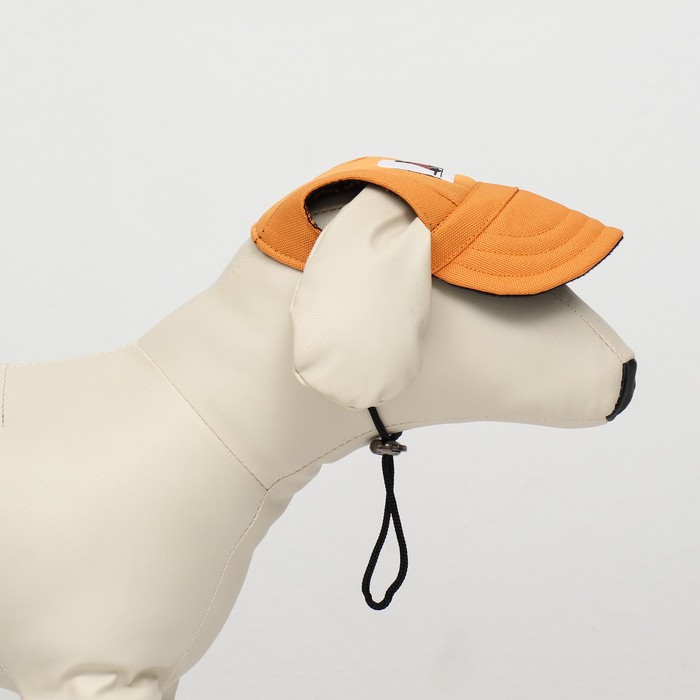 Кепка для собак, размер M, 28-41 см, оранжевая