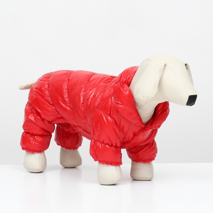 Комбинезон «Блеск», размер S, ДС 24 см, ОГ 34, ОШ 23 см, до 5 кг, красный