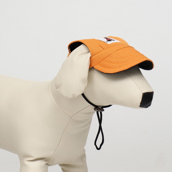 Кепка для собак, размер S, 22-34 см, оранжевая