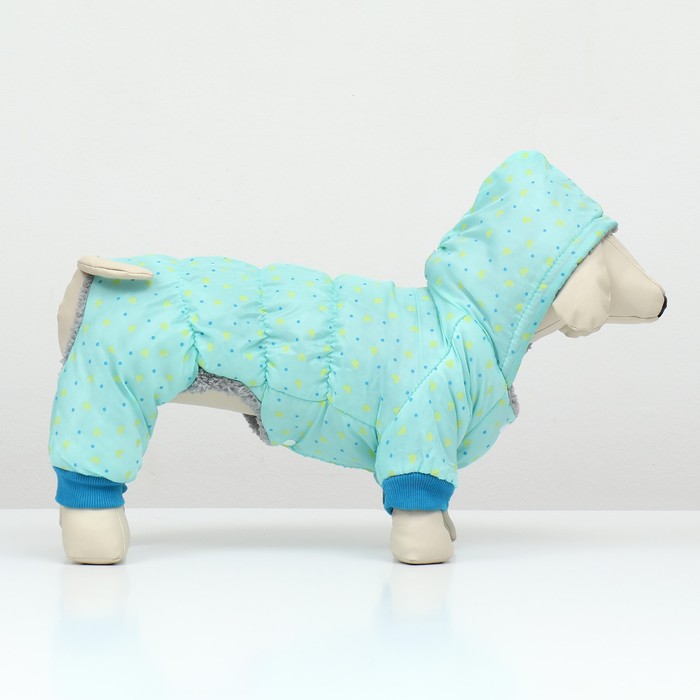 Комбинезон «Нежный путь», на меховом подкладе, размер XXL, ДС 45, ОШ 45, ОГ 55 см, голубой