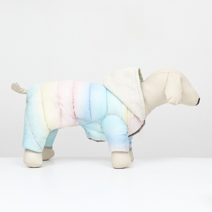 Комбинезон «Для прогулки», размер 12, ДС 24 см, ОГ 38 см, ОШ 27 см, пастельный