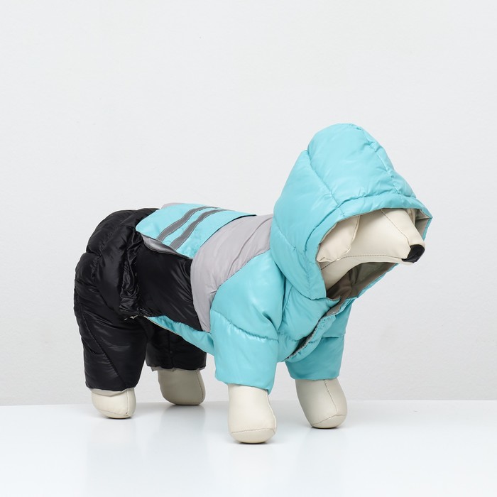 Комбинезон «Анорак», светоотражающий, размер 8, ДС 19 см, ОГ 30, ОШ 22 см, чёрный, голубой