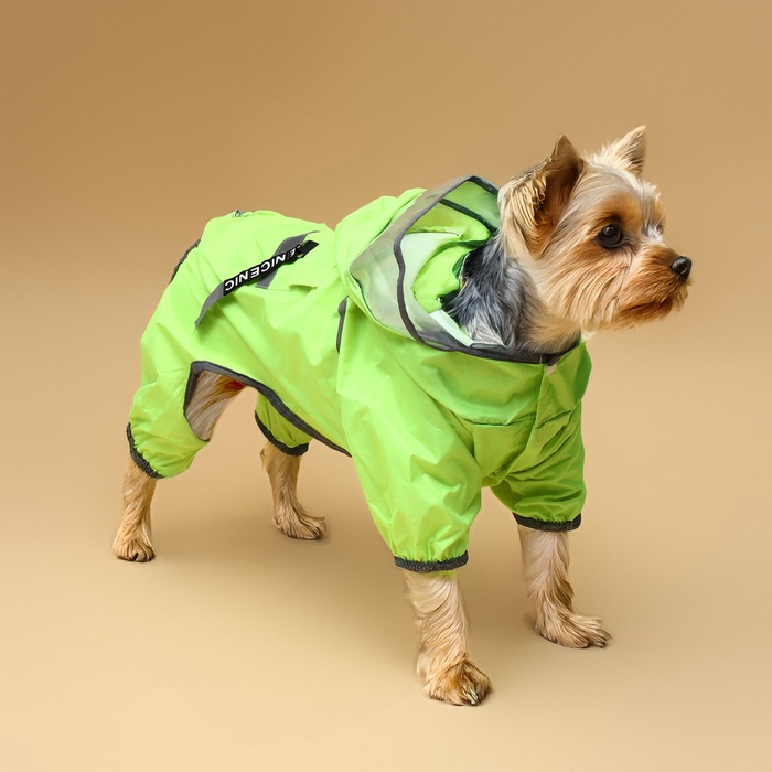 Комбинезон для собак, демисезонный, с козырьком, размер М, ДС 32, Ог 45, ОШ 35 см, зелёный