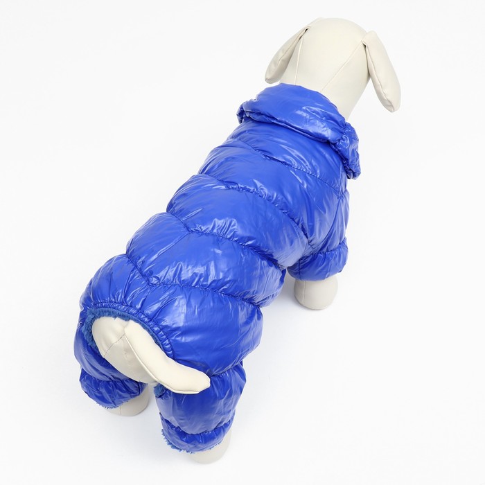 Комбинезон «Блеск», размер L, ДС 34 см, ОГ 47, ОШ 32 см, до 10 кг, синий