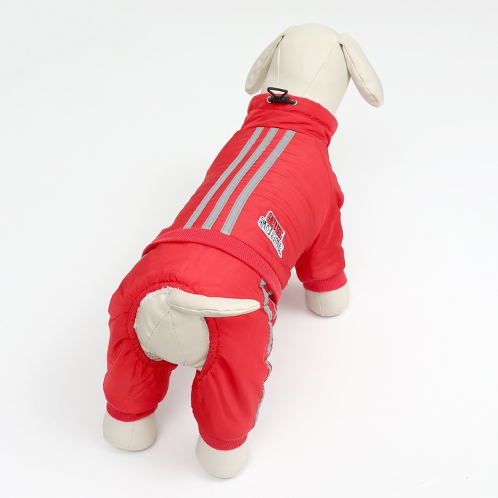 Комбинезон «Спорт», размер S, ДС 25, ОГ 35, ОШ 25 см, со светоотражающими полосами, красный