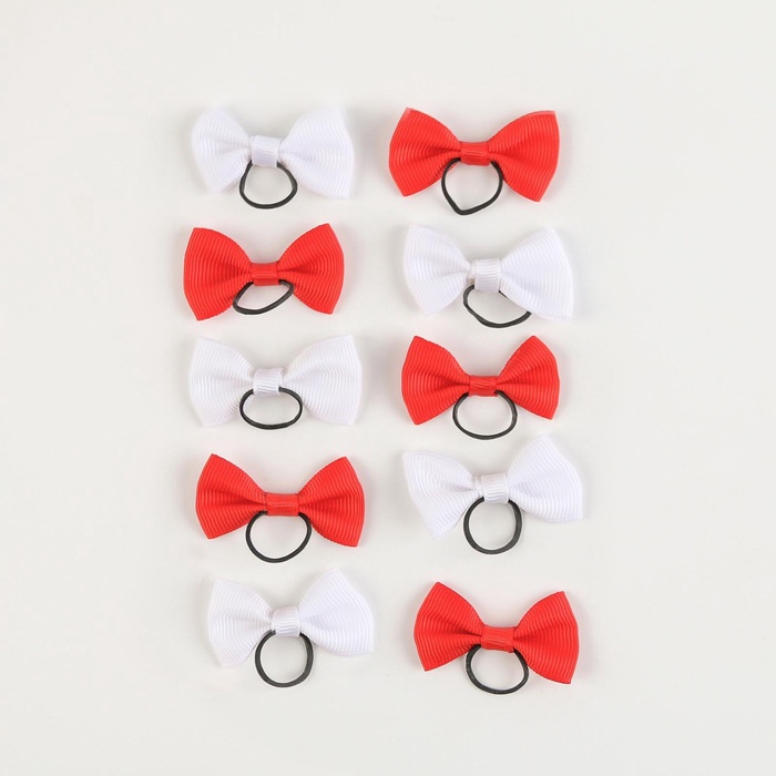 Набор резинок для собак DOGUE