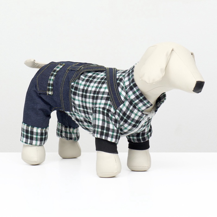 Комбинезон Men, размер XS, ДС 20 см, ОГ 30 см, ОШ 20 см, синий