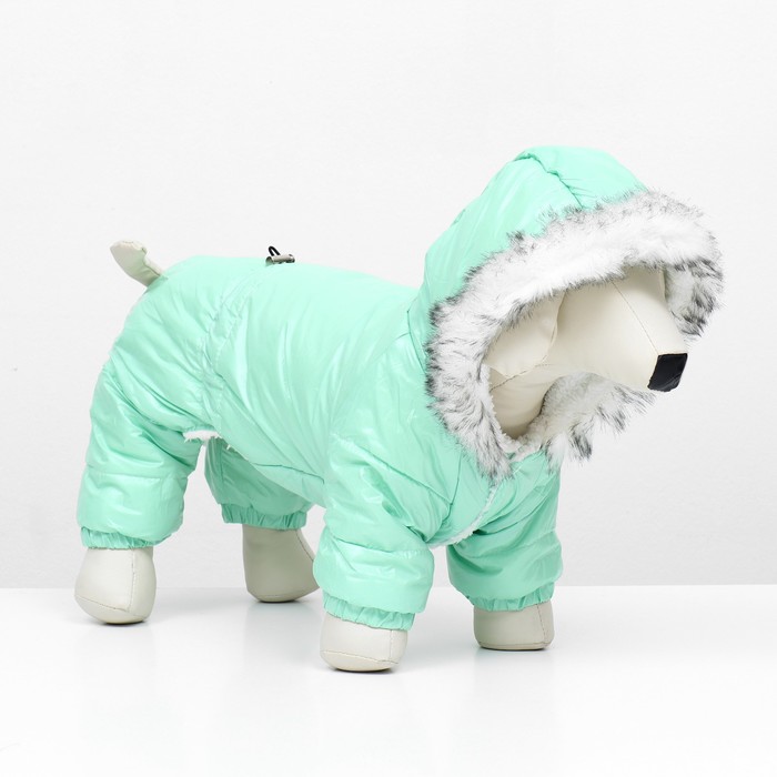 Комбинезон «Глянец», размер S, ДС 24, ОГ 34, ОШ 24 см, до 5 кг, мятный