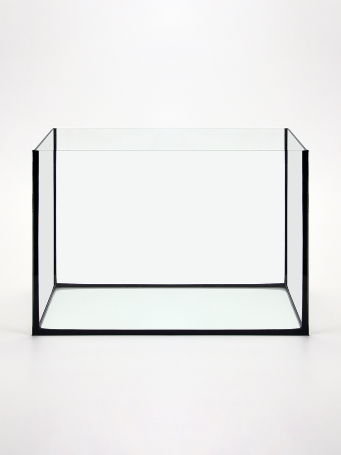 Аквариум «Прямоугольный» без крышки, 60 л, 56×29×36 см