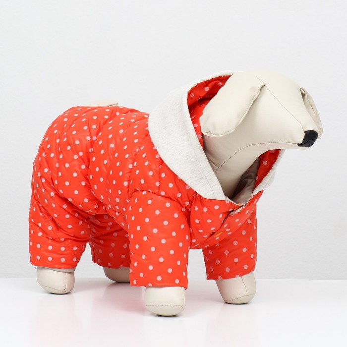 Комбинезон «Для прогулки», размер 8, ДС 19 см, ОГ 30, ОГ 22 см, оранжевый