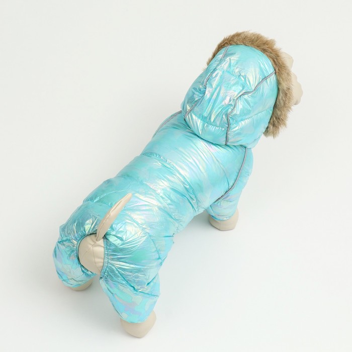 Комбинезон «Глянец», размер 8, ДС 23, ОГ 30, ОГ 22, голубой