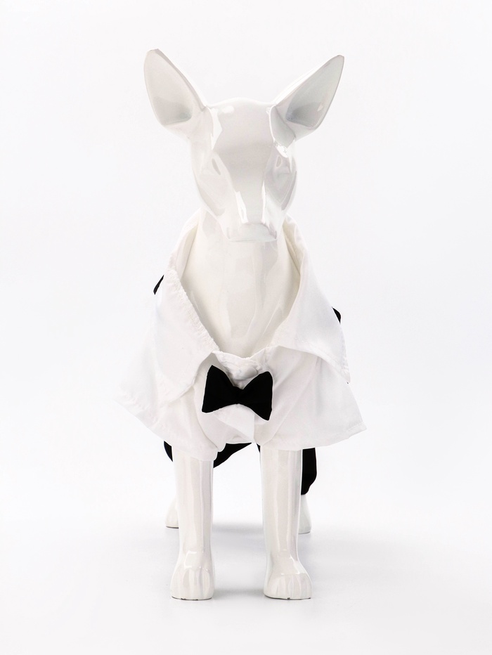 Костюм для животных «Джентельмен», размер M (ДС 30, ОГ 40 см)