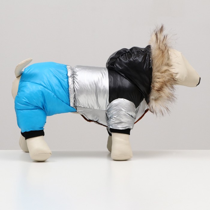 Комбинезон «Пушок», размер 16, ДС 36 см, ОГ 46 см, ОШ 35 см, голубой