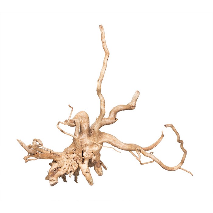 Декорация природная PRIME «Коряга сакура» размер S, 20-30 см